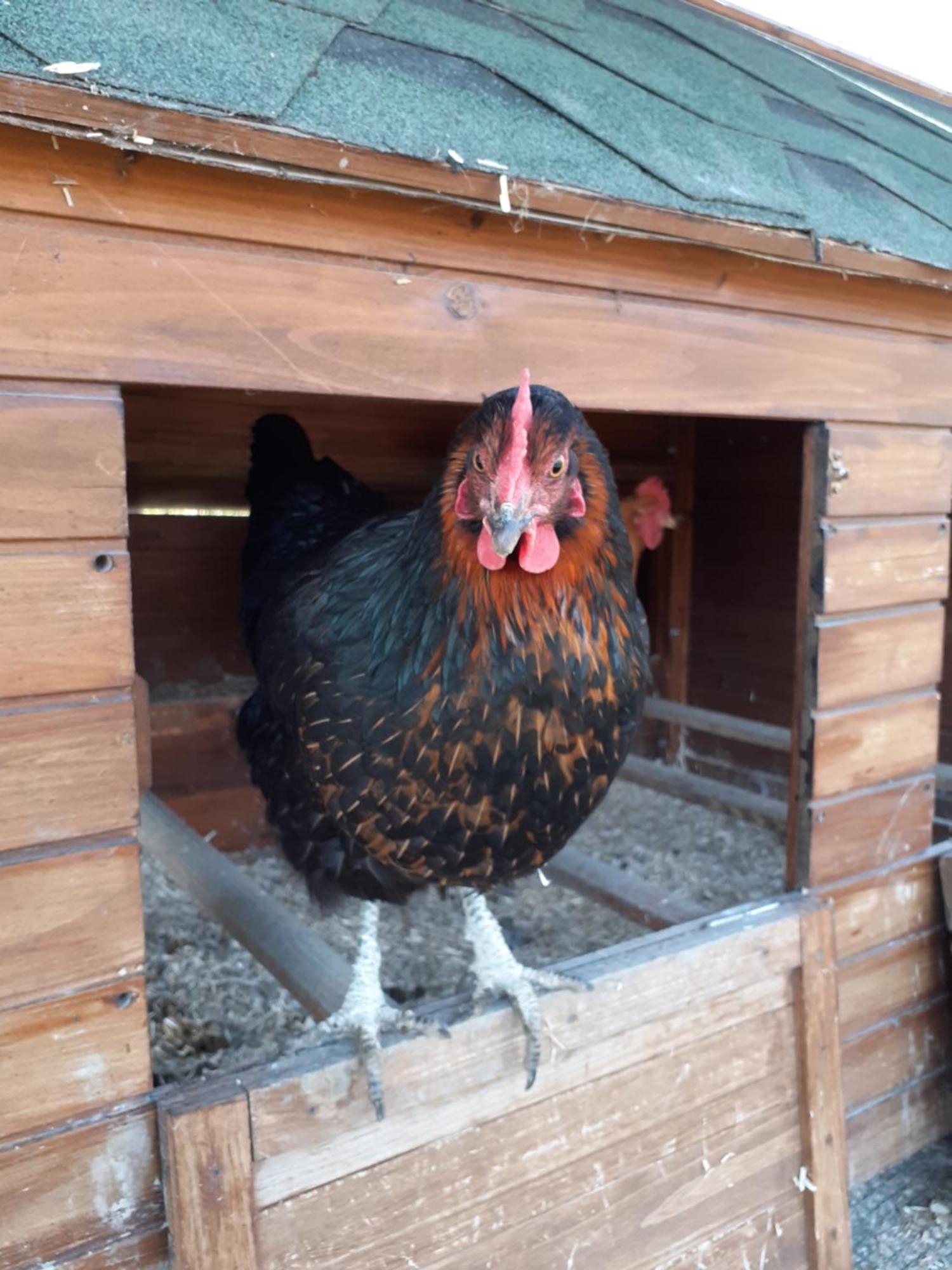 Ca Gennara Agri B&B Porretta Terme Exterior foto